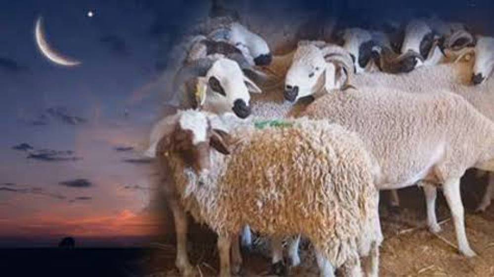 رسميا.. عيد الأضحى المبارك بال