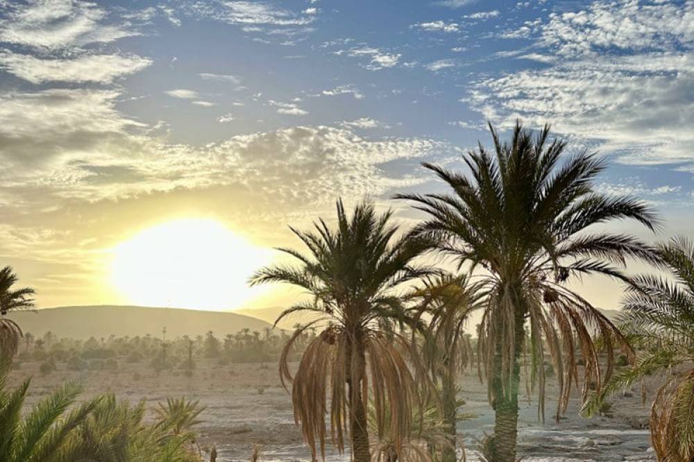 توقعات طقس اليوم الأربعاء بالم