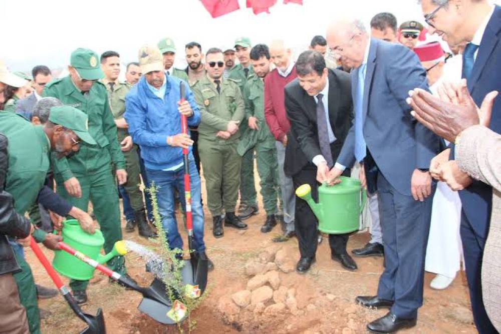 تارودانت.. إطلاق مشاريع غابوية