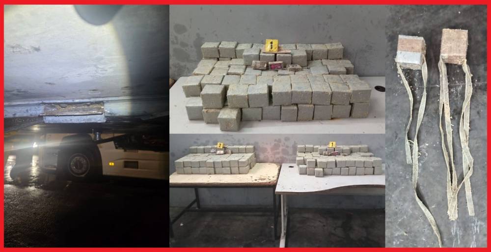 إحباط تهريب 181 كلغ من الشيرا