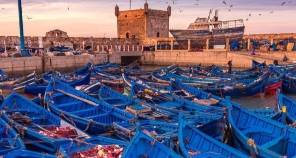 ارتفاع الكميات المفرغة من منتوجات الصيد البحري ب235 في المائة بميناء الصويرة