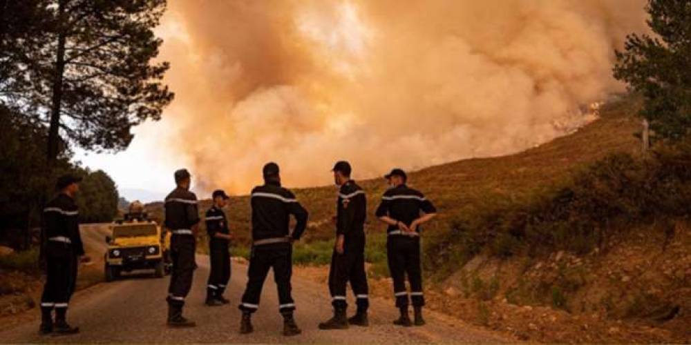 حريق غابة هوارة بطنجة.. توقيف شخص بحوزته عشر ولاعات وغليون لاستهلاك مخدر الكيف وسكين صغير