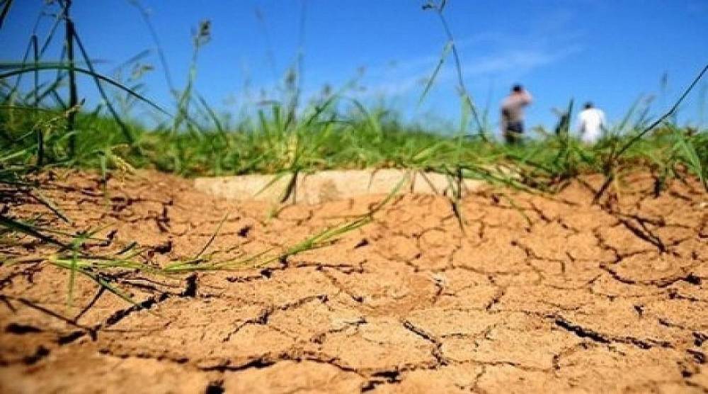 الطلب الداخلي يقلص خسائر الاقتصاد المتضرر من الجفاف وتراجع الخدمات