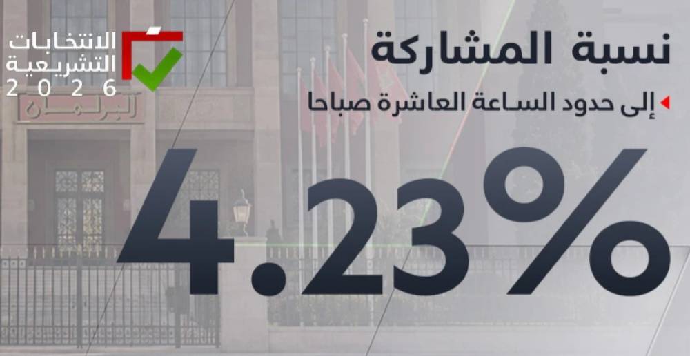 انتخابات 2026.. نسبة المشاركة